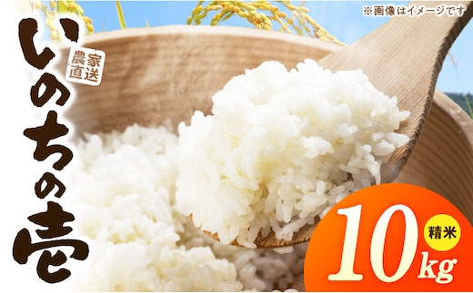 R7年産 「いのちの壱」（10kg）＜農家直送＞
