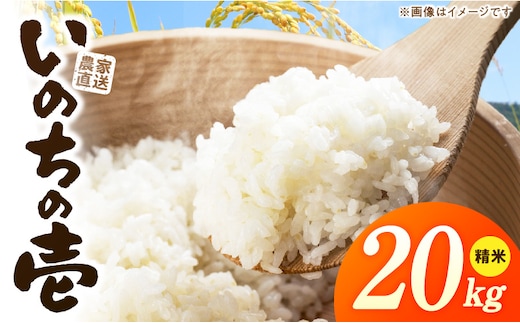 R7年産 「いのちの壱」（20kg）＜農家直送＞