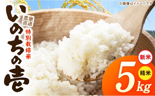 【R8年産新米 先行受付】特別栽培米「いのちの壱」（5kg）＜農家直送＞