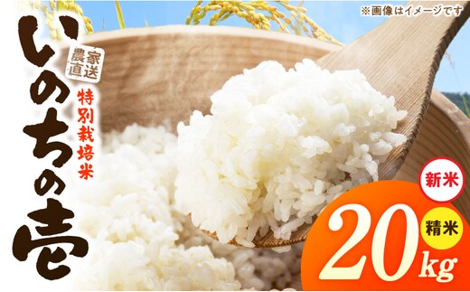 【R8年産新米 先行受付】特別栽培米「いのちの壱」（20kg）＜農家直送＞