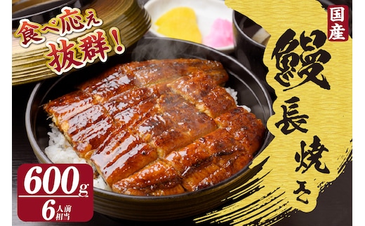 国産特大うなぎ長焼き３尾(約２００ｇ) 合計約６００ｇ（1664）
