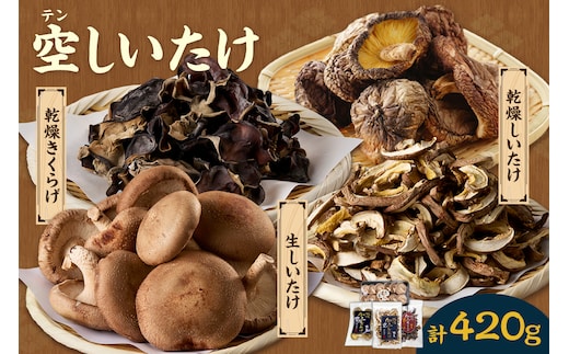 [№22-0022]空（テン）しいたけ
