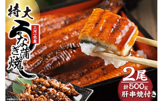 三河一色産 最高級うなぎセット 特大2尾（蒲焼2尾）計500g（冷蔵配送）