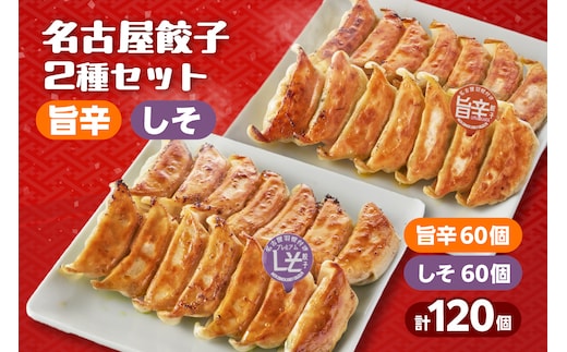にこにこ餃子の名古屋餃子2種セット（120個入）（2344）