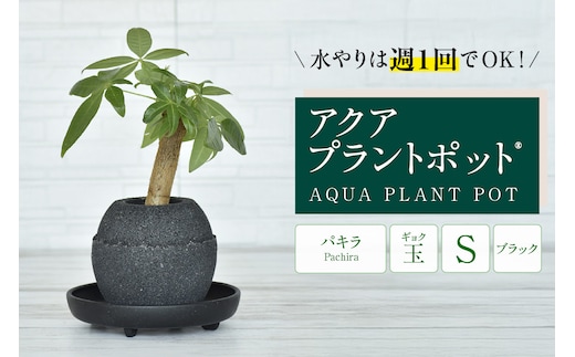 アクアプラントポット® 玉Ｓ（ブラック） 植木鉢 パキラ（2085）