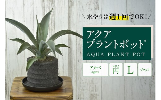 アクアプラントポット® 円Ｌ（ブラック） 植木鉢 アガベ（2102）