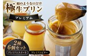 極生プリン　プレミアム２種６個セット（3460）