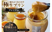極生プリン　プレミアム２種１０個セット（3461）