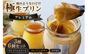 極生プリン　プレミアム３種６個セット（3462）