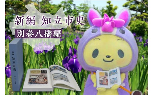 [№99-0613]新編知立市史 別巻八橋編