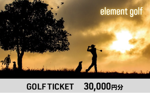 【30,000円分】 elementgolf ゴルフチケット (ゴルフクラブ作成、修理・調整、フィッティング) エレメントゴルフ × 名古屋外国語大学コラボデザインチケット ゴルフ ゴルフクラブ 愛知 日進市