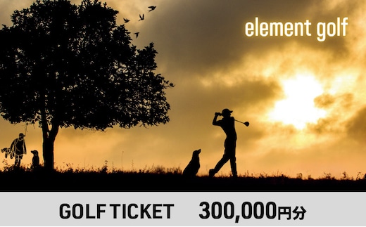【300,000円分】 elementgolf ゴルフチケット (ゴルフクラブ作成、修理・調整、フィッティング) エレメントゴルフ × 名古屋外国語大学コラボデザインチケット ゴルフ ゴルフクラブ 愛知 日進市