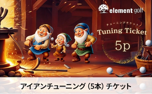 elementgolf アイアン チューニング チケット (5本) エレメントゴルフ × 名古屋外国語大学コラボデザインチケット ゴルフ アイアン ゴルフクラブ 調整 愛知 日進市