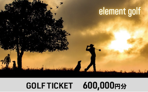 【600,000円分】 elementgolf ゴルフチケット (ゴルフクラブ作成、修理・調整、フィッティング) エレメントゴルフ × 名古屋外国語大学コラボデザインチケット ゴルフ ゴルフクラブ 愛知 日進市