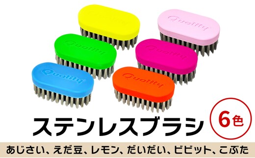 極線君記念モデル ブラシ 掃除 ステンレスブラシ 極線君 日進市 愛知県 ※配送不可:北海道、離島えだ豆