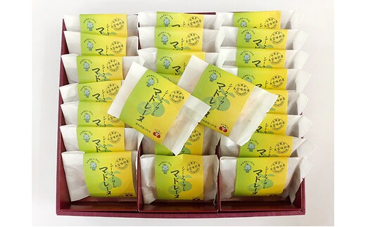 シークヮーサーのマドレーヌ お菓子 スイーツ 焼き菓子 フルーツ 洋菓子 おやつ 手土産 ギフト 柑橘類 