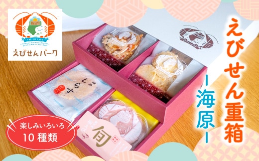 えびせん重箱 海原 えびせんパーク 煎餅 せんべい 海老せんべい たこせん たこせんべい いかせんべい 海老 いか たこ 姿焼き 詰め合わせ お菓子 おつまみ おやつ 美浜町 愛知県 特産品 おみやげ お歳暮 お中元