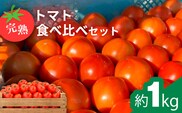 完熟トマト食べ比べセット約1kg 3種類のトマト 美味しさ選別 ｜とまと トマト 減農薬 野菜 やさい 人気 新鮮 産地直送 直売 甘い 高糖度 完熟 リコピン ビタミン ダイエット 美容 美肌 愛知県 美浜町 ※2026年1月上旬～5月下旬頃に順次発送