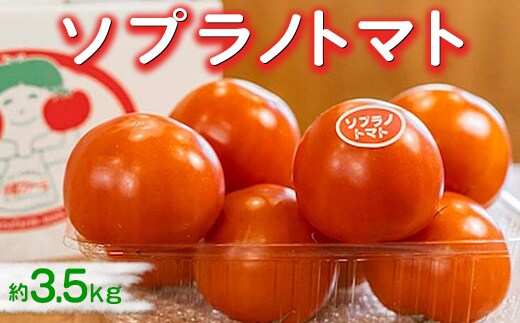 ソプラノトマト 約3.5kg ※2026年1月上旬～5月下旬頃に順次発送予定／とまと 甘い 糖度 6度 7度 新鮮 愛知県 特産品◆