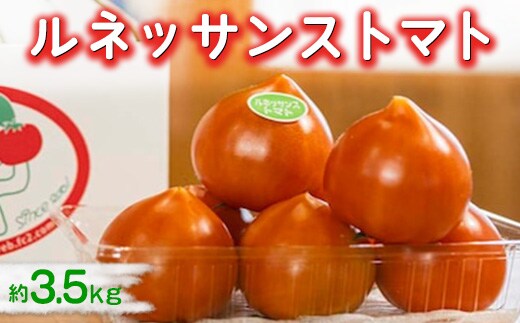 ルネッサンストマト 約3.5kg ※2026年1月上旬～5月下旬頃に順次発送予定／とまと ハート型 新鮮 愛知県 特産品◆