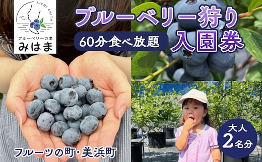 【食べ放題！】ブルーベリー狩り入園券 大人2名分