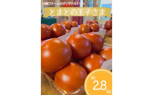 とまとの王子さま 約2.8kg ※2026年1月上旬～5月下旬頃に順次発送予定◆