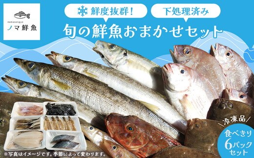 鮮度抜群！お魚おまかせ食べきり６パック・下処理加工してあるので解凍してすぐに調理できます。※着日指定不可※北海道・沖縄・離島への配送不可