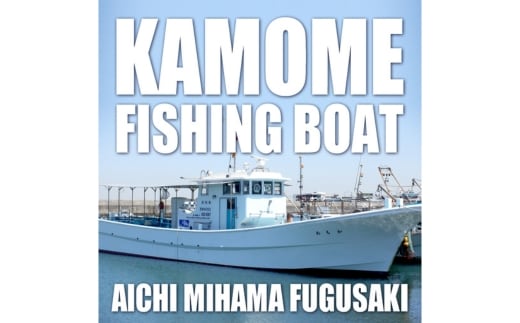 かもめ釣船 乗船チケット （9,000円分） | 釣り船 キャスティング サビキ ルアー 泳がせ 初心者歓迎 釣船 フィッシング 船釣り 体験 レジャー 船 船 魚 釣り さかな チケット 観光 旅行 ふね 釣舟 ふるさと納税魚 ふるさと納税フィッシング ふるさと納税体験 ふるさと納税釣り クーポン 乗船券 ふるさと納税利用券 愛知県 美浜町 人気 おすすめ