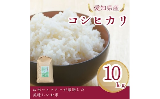 愛知県産 コシヒカリ 10kg｜米 お米 コメ こめ おにぎり 弁当 愛知県 美浜町 新米 ※北海道・沖縄・離島への配送不可