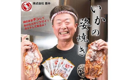 いかの姿焼き (100g×1袋) ｜イカ 烏賊 おつまみ 個包装 いか焼き おやつ 愛知県 美浜町 おすすめ ※北海道・沖縄・離島への配送不可