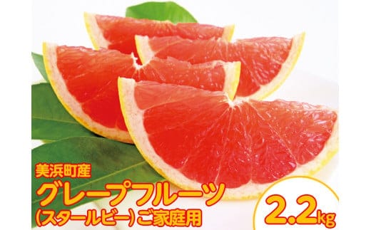 美浜町産グレープフルーツ（スタールビー）ご家庭用 6-8玉（約2.2kg）※2026年5月上旬～7月上旬頃に順次発送予定