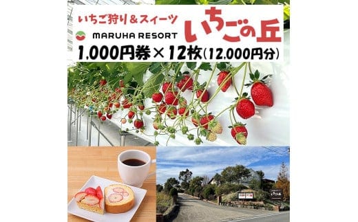 まるは食堂 マルハリゾート いちごの丘1,000円券12枚（12,000円分） ※着日指定不可