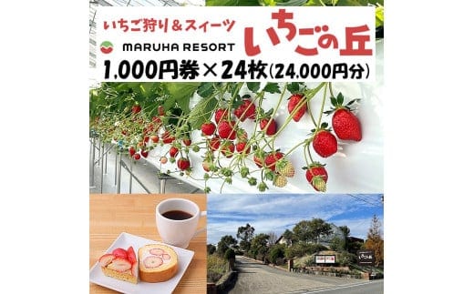 まるは食堂 マルハリゾート いちごの丘1,000円券24枚（24,000円分） ※着日指定不可