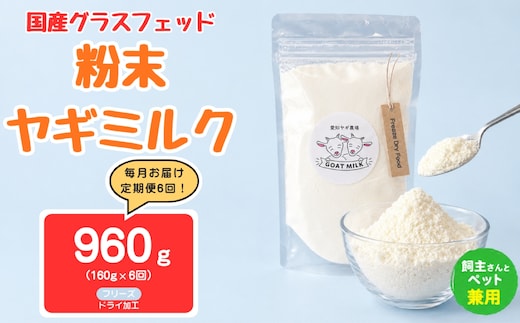 【定期便6回】国産グラスフェッド【人間・ペット兼用】粉末ヤギミルク160g×1袋 フリーズドライ加工（愛知ヤギ農場産） | 栄養満点 全脂粉乳 無添加 パウダー 山羊乳 送料無料