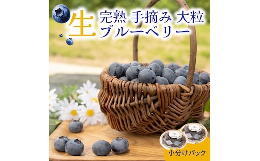 大粒ブルーベリー品種ミックス 125g×6パック 果物 くだもの フルーツ ヨーグルト ジャム 国産 愛知県産 ※2026年6月上旬～8月上旬頃に順次発送予定 ※北海道・沖縄・離島への配送不可