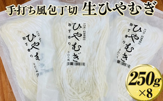 手打ち風包丁切 生ひやむぎ