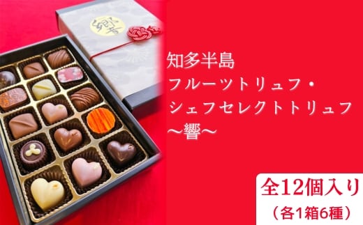 知多半島フルーツトリュフ・シェフセレクトトリュフ 12個 ～響～ | 手作り チョコレート トリュフ 詰め合わせ ショコラ チョコ プレゼント バレンタイン ホワイトデー デザート スイーツ ギフト 贈り物 ※2026年1月中旬～3月中旬頃に順次発送予定