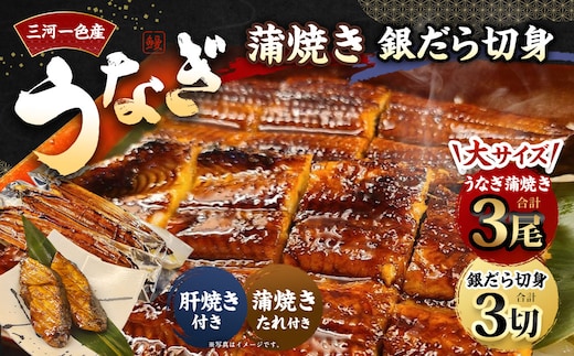 三河一色産 うなぎ蒲焼き大3尾+銀たら照り焼き3切れ（1切れ60g以上）｜ 蒲焼きたれ 肝焼き お魚 湯煎 惣菜 セット 簡単調理 冷凍 幸田町 送料無料