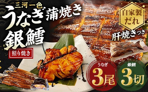 三河一色産 うなぎ蒲焼き中3尾+銀たら照り焼き3切れ（1切れ60g以上）｜ 鰻 かば焼き 銀鱈 タラ タレ付き 簡単調理 冷凍