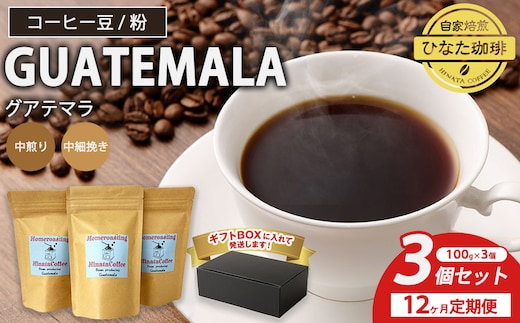 【12カ月定期便】コーヒー 豆 粉（グアテマラ 中煎り 中細挽き）100g × 3個セット | ミディアムロースト ギフトBOX付き コーヒー 珈琲 自家焙煎 ひなた珈琲 幸田町 送料無料
