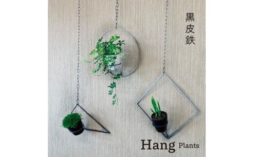 GRAVIRoN Hang Plants シリーズ Triangle/Diamond/Round セット 黒皮鉄（プランツハンガー） 観葉植物 プランター