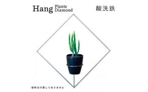 GRAVIRoN Hang Plants シリーズ Diamond 酸洗鉄（プランツハンガー） 観葉植物 プランター