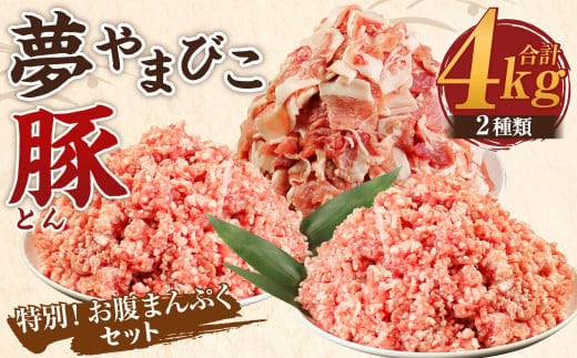 夢やまびこ豚 特別！お腹まんぷくセット 小間切れ 挽肉 計4kg（各500g×4袋） 豚肉 お肉 豚 こま切れ ミンチ