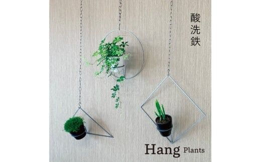 GRAVIRoN Hang Plants シリーズ Triangle/Diamond/Round セット 酸洗鉄（プランツハンガー） 観葉植物 プランター