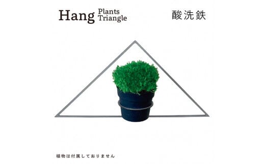 GRAVIRoN Hang Plants シリーズ Triangle 酸洗鉄（プランツハンガー） 観葉植物 プランター