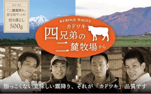 A4･A5「二麓（にろく）霜降り」黒毛和牛（大判）切り落とし 500g（250g×2）ニセコ連峰と鈴鹿山脈、二つの麓（ふもと）で育てた脂の質にこだわった美味しい霜降りをリーズナブルに│牛肉 国産牛 ブランド牛 冷凍便 年末年始 お正月 焼肉 しゃぶしゃぶ すき焼き 三重県 四日市市 ふるさと納税