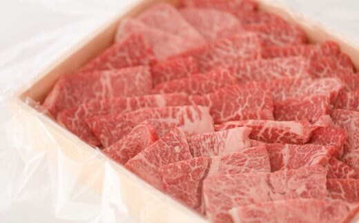 伊勢水沢牛（いせすいざわぎゅう）焼肉用 500g 三重畜産【国産牛 牛肉 お肉 肉 すき焼き しゃぶしゃぶ 三重県 四日市市】