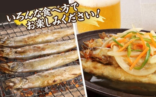 国内加工 特大ししゃも 4箱セット