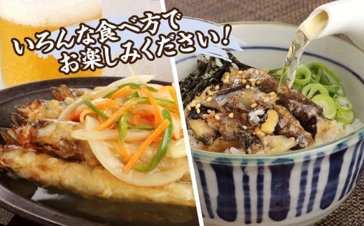 国内加工 塩ししゃも 5箱セット