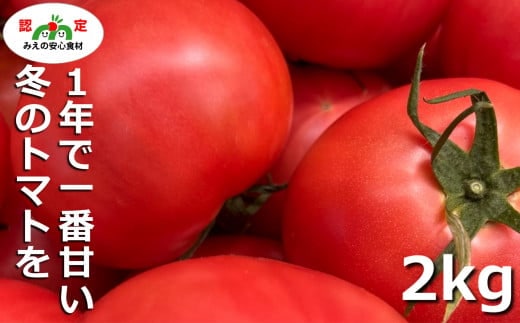 鈴鹿山麓トマト「桃太郎トマト」箱詰め（中箱2kg前後）【トマト ミニトマト 採れたて 自然 栽培 水耕栽培 野菜 甘い あまい おいしい 美味しい 三重県 四日市市 ふるさと納税】